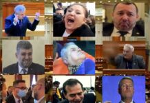 Clanurile politice și România fanariotă a secolului XXI
