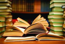 Pixul nu e baston! Nu funcționează fără educație!