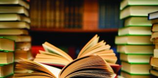 Pixul nu e baston! Nu funcționează fără educație!