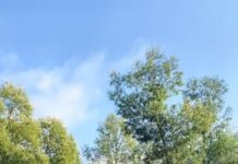 Intervenții rapide în Suceava și Neamț: Ministrul Energiei, Bogdan Ivan, anunță acțiuni concrete pentru refacerea rețelelor electrice și curățarea lacului Izvorul Muntelui