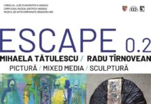 Expoziția „Escape 0.2” – Mihaela Tătulescu și Radu Tîrnovean, la Muzeul de Artă Comparată Sângeorz-Băi