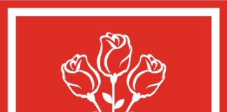 PSD insistă pentru Programul de stimulare economică