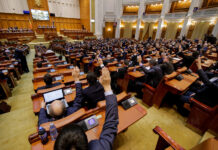 Panglicarii de profesie și investițiile făcute din buzunarul altora!
