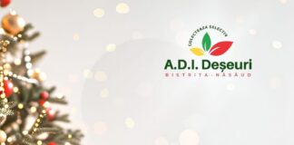 Mesajul ADI Deseuri, cu ocazia Sărbătorilor de iarnă
