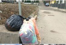 Campanie de colectare a deșeurilor textile în județul Bistrița-Năsăud, între 9 și 14 martie