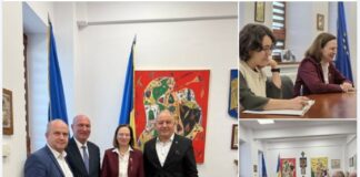 Emil Radu Moldovan s-a întâlnit cu ambasadorul Germaniei în România, Angela Ganninger