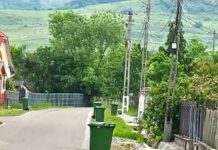 Bistrițenii sunt așteptați să scoată pubela verde la poartă. Miercuri are loc colectarea deșeurilor din sticlă