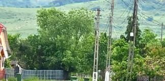 Bistrițenii sunt așteptați să scoată pubela verde la poartă. Miercuri are loc colectarea deșeurilor din sticlă
