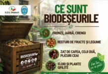 Biodeșeurile vor fi colectate separat în zonele de blocuri începând cu 1 iulie. Ce trebuie să știe locatarii