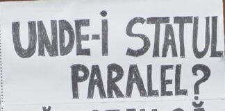 Statul paralel își apără cu dinții și cu Curtea Constituțională privilegiile!