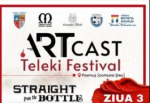 Straight from the Bottle aduce rockul pe scena ARTCast Teleki Festival. Concert programat în 16 august la Posmuș